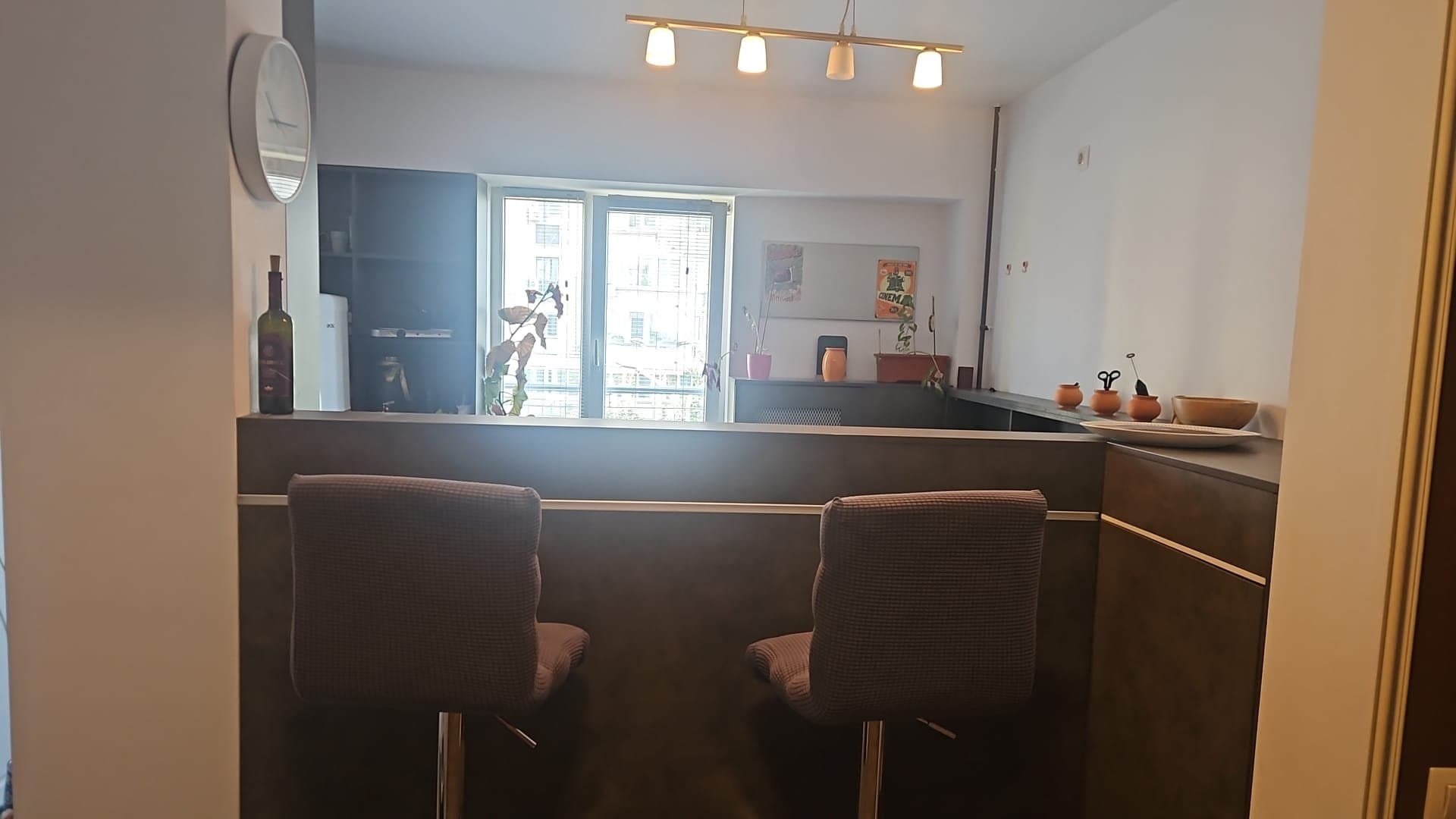 Spatiu amenajat pentru birouri. Bd. Coposu. Vedere stradala.