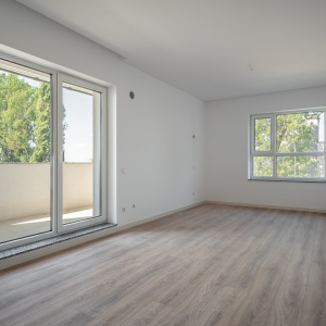 Apartament 2025, Stellaris, Faza 1, mutare imediata!