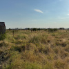 Teren de 330 mp în Comuna Berceni – Ideal pentru Casă sau Investiție!