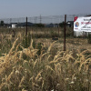 Teren de 330 mp în Comuna Berceni – Ideal pentru Casă sau Investiție!