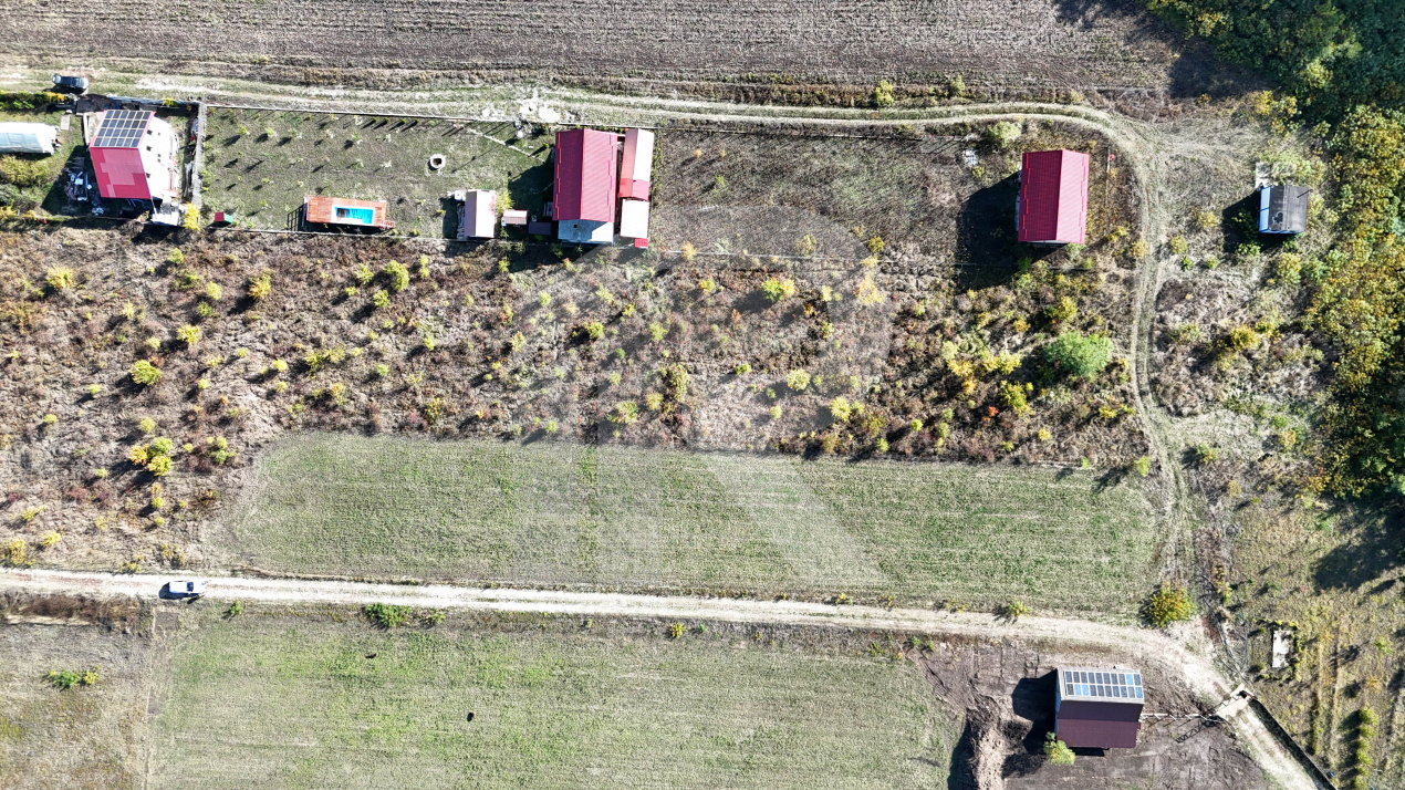 Refugiu la marginea padurii — 1000 mp de liniste in Cocani.