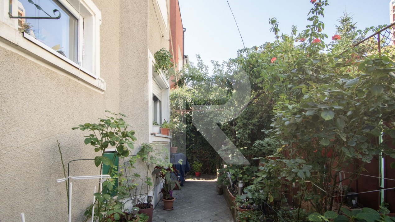 Casa individuala Dristor