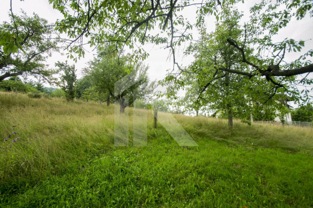 Teren investitie Bran - Predelut, la 2 km de Castelul Bran