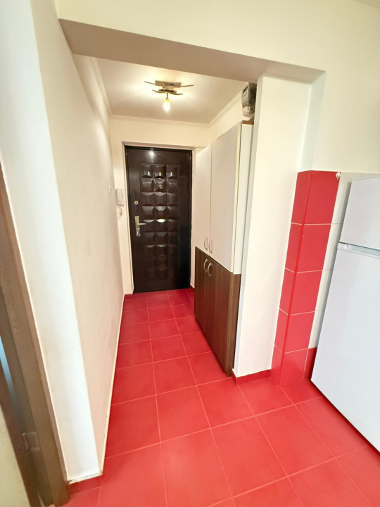 Apartament 2 Camere Teiul Doamnei Lacul Tei